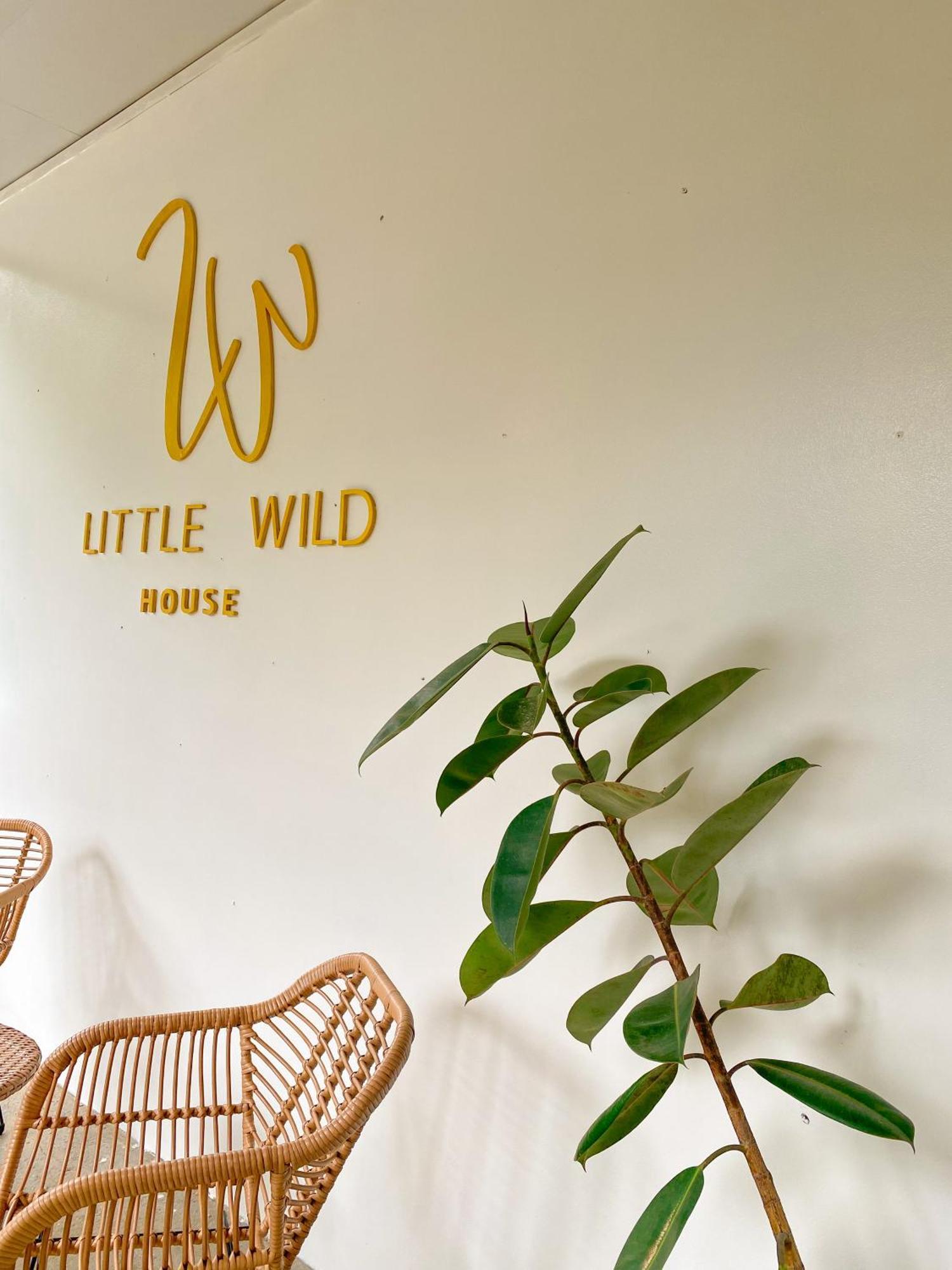 Private Room With Share Bathroom At Little Wild House Khaosok Khao Sok National Park المظهر الخارجي الصورة